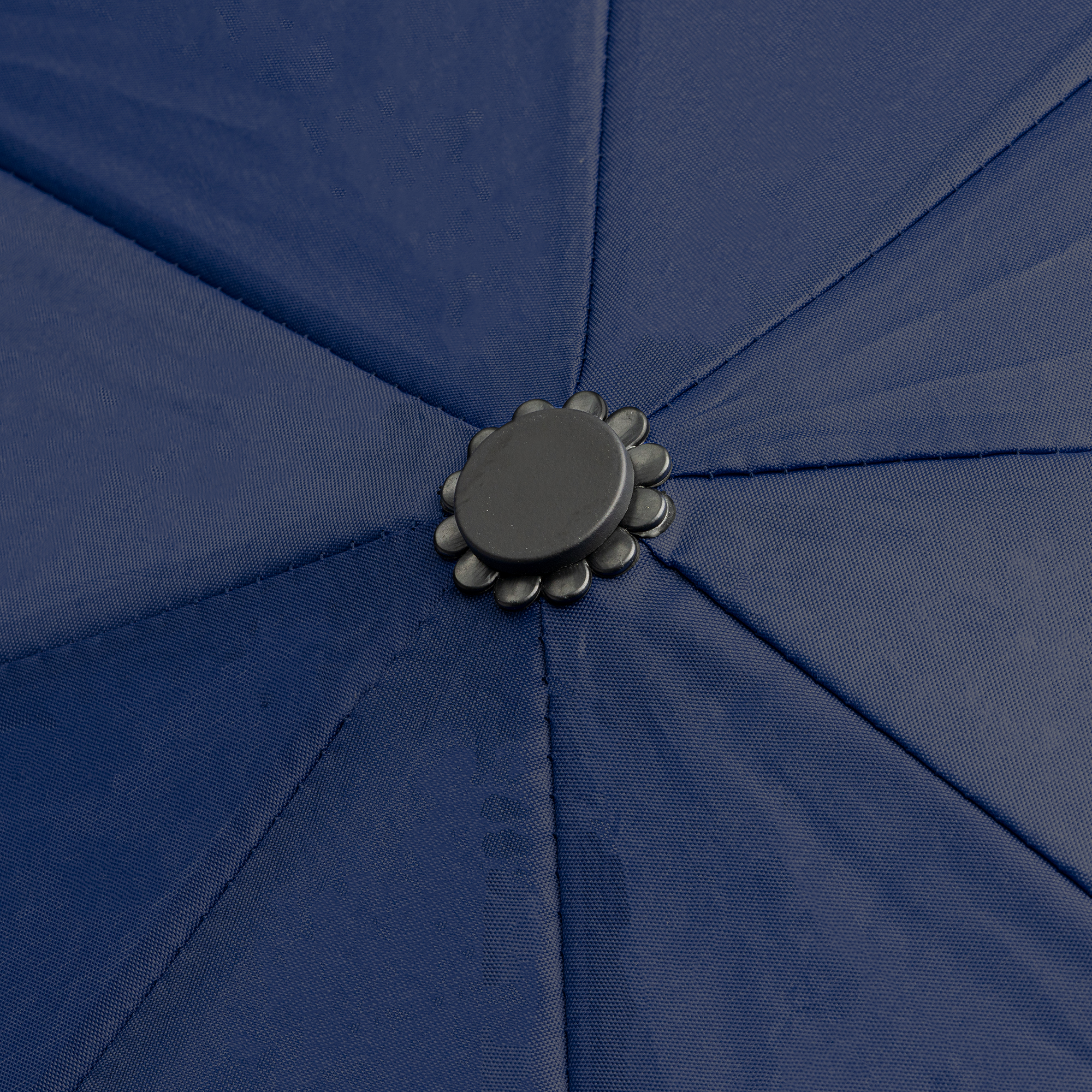 NAURO - Imagen 3