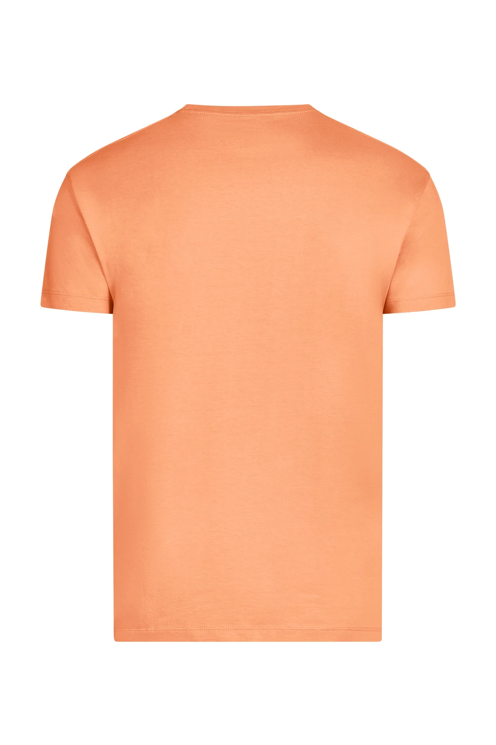 PALM - CAMISETA MANGA CORTA 190 - Imagen 27