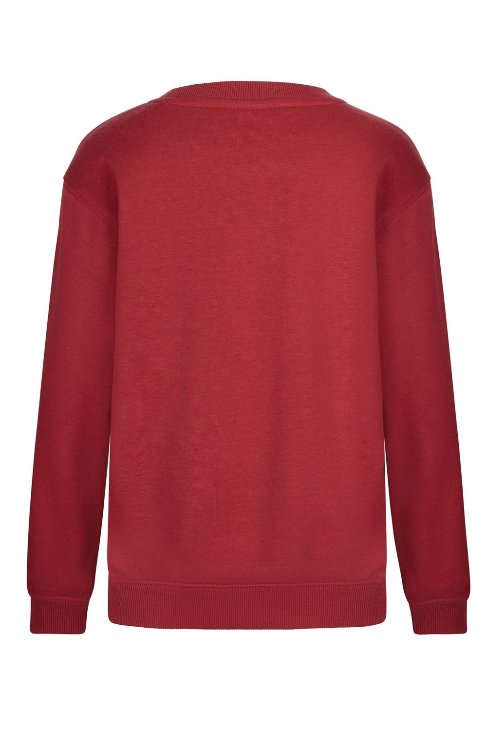 AVALON KIDS - SUDADERA CUELLO REDONDO KIDS 270 - Imagen 90