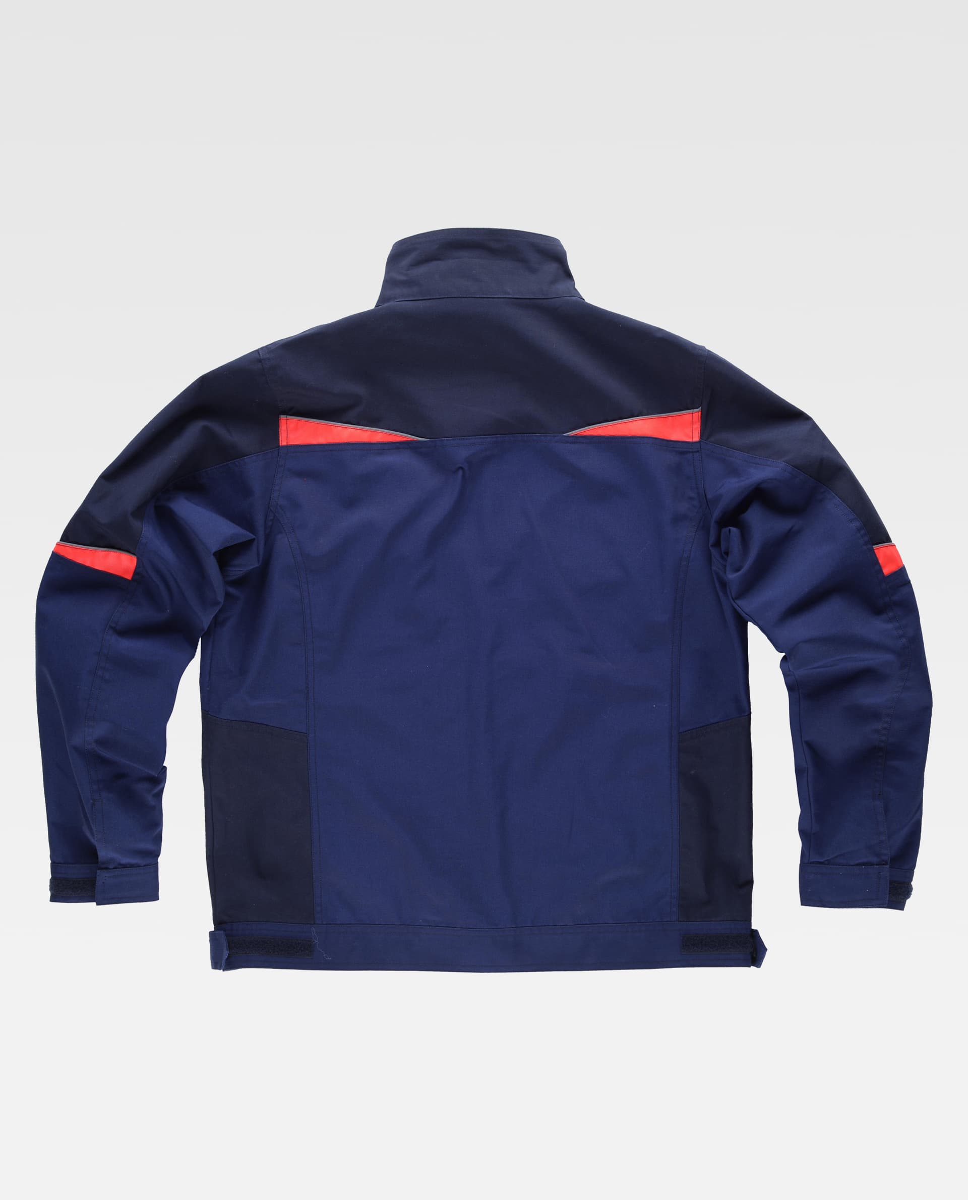 Cazadora tricolor - Imagen 4