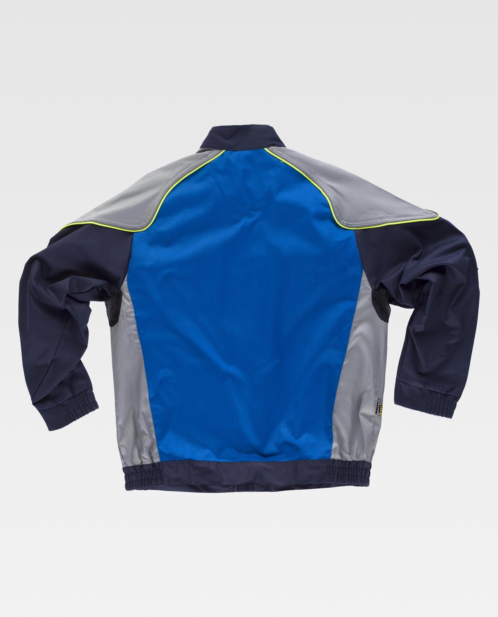 Cazadora tricolor - Imagen 2