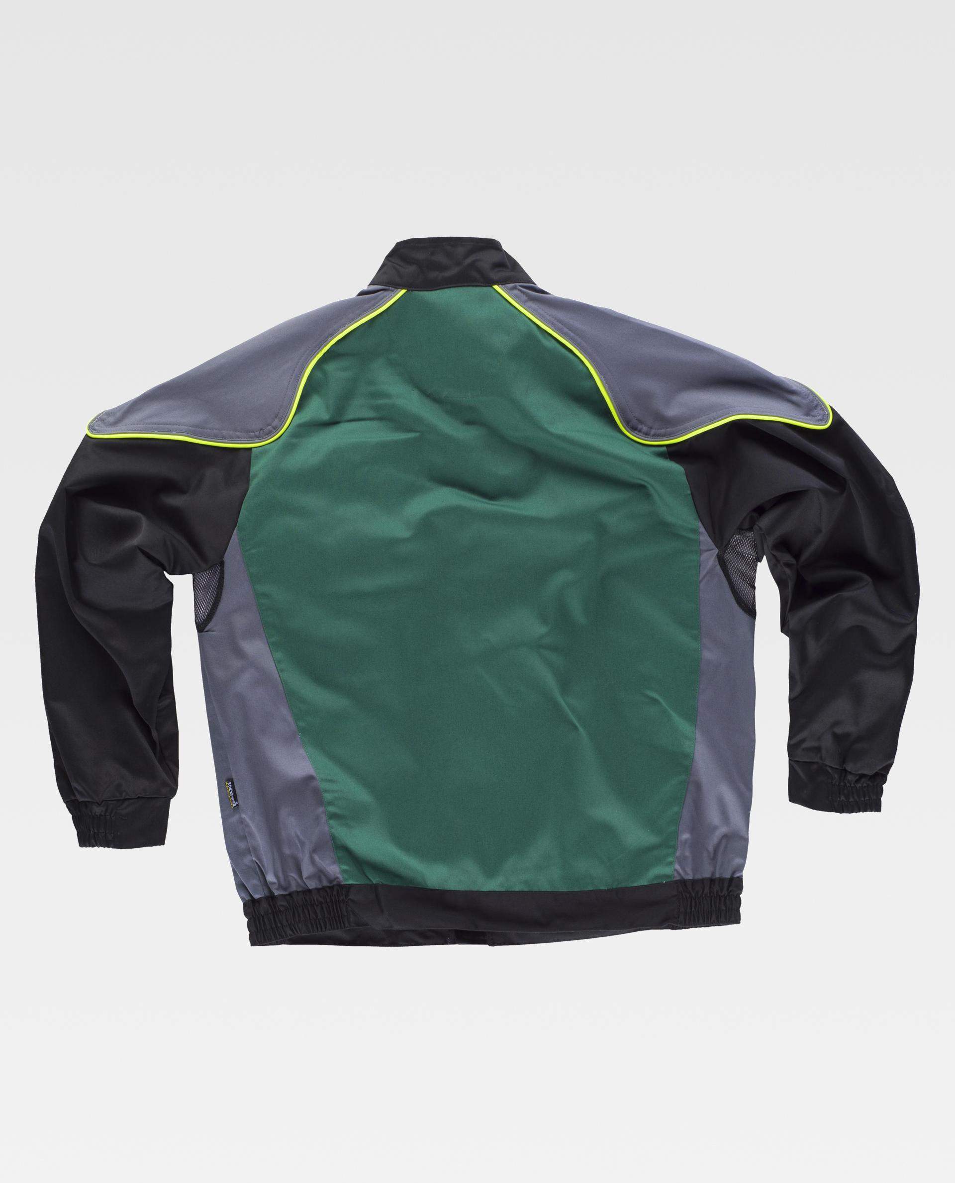 Cazadora tricolor - Imagen 8